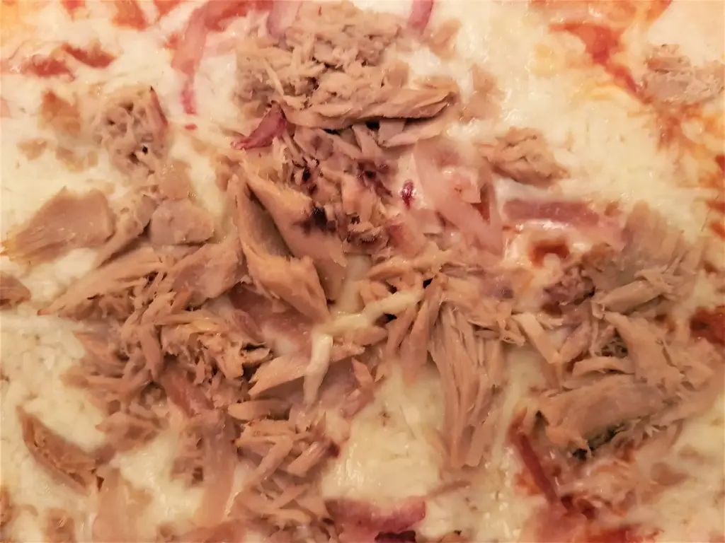 Pizza tonijn 450 g (ø 25 cm ) - diepvries