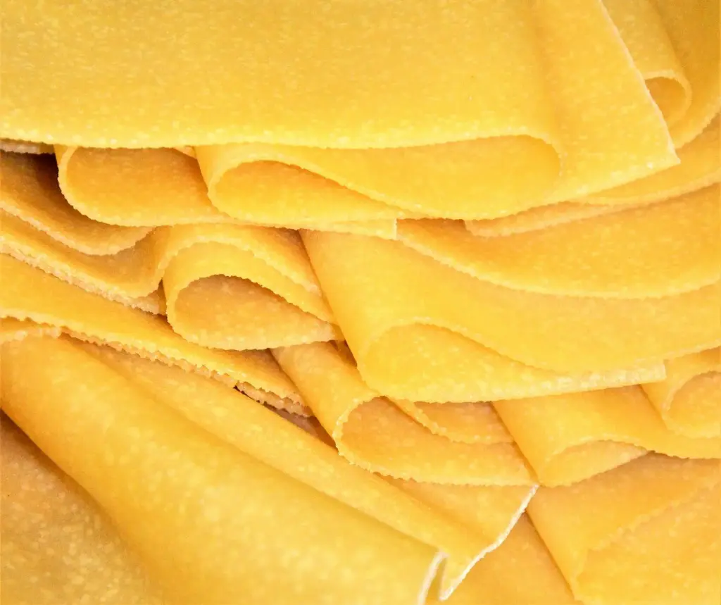 Lasagne bladeren